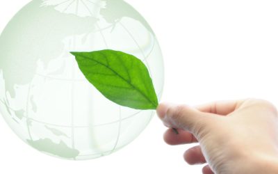 Ces plantes insolites qui pourraient sauver notre planète