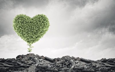 Ecologie 2.0 : Comment l’Intelligence Artificielle est-elle en train de révolutionner notre planète ?