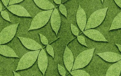 Les secrets obscurs du recyclage : l’envers du décor