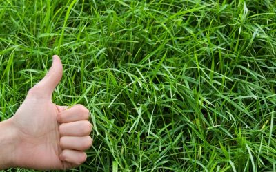 Comment l’écologie peut sauver votre vie amoureuse?