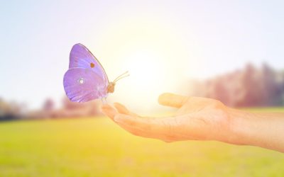 Comment l’écologie peut être un allié pour la croissance économique ?