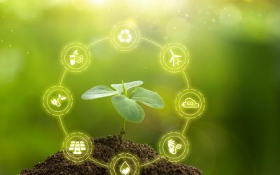 Le côté obscur du recyclage : Quand l’industrie verte n’est pas si verte