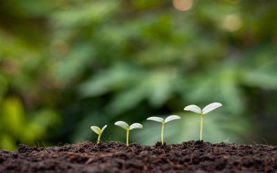 Les secrets que vos déchets pourraient révéler sur l’écologie