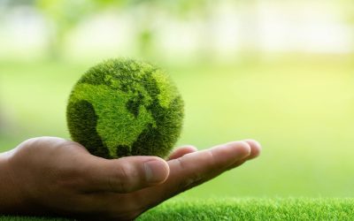 La Face Cachée de l’Écologie : Pourquoi Nos Bonnes Intentions Peuvent Être Néfastes
