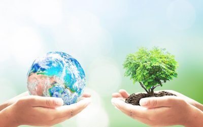 La Face Cachée de la Consommation Écoresponsable : Quand le Greenwashing Dévaste Plus qu’il ne Sauve