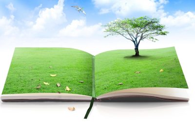 Les habits verts font-ils vraiment l’écologiste ? Enquête sur le greenwashing vestimentaire