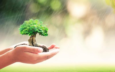 Comment les déchets deviennent une ressource précieuse pour l’économie circulaire
