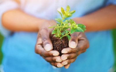 La Planète se Rebelle : Quand la Terre Dit Non !