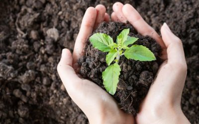 Révélation choc : l’empreinte écologique insoupçonnée de nos émotions numériques