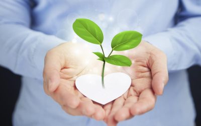 La révolution verte de nos grands-mères : secrets d’écologie ancestrale