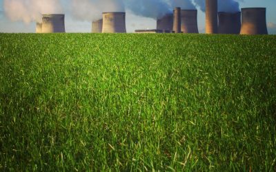 Ces Plantes Qui Peuvent Sauver Notre Planète: Révolutions Vertes Inattendues