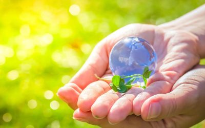 Pourquoi les villes vertes devraient être la norme : une étude de cas sur l’impact de l’écologie urbaine