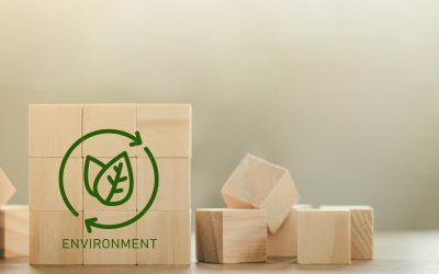 Les Extra-Terrestres Recyclent-Ils Aussi : Ce Que Nous Devrions Apprendre d’Eux ?