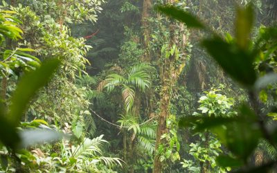 Quand la Mode Fait Sienne l’Écologie : Un Tour d’Horizon de la “Slow Fashion”