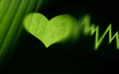 Les Pires Pratiques Écologiques que Vous Faites sans le Savoir
