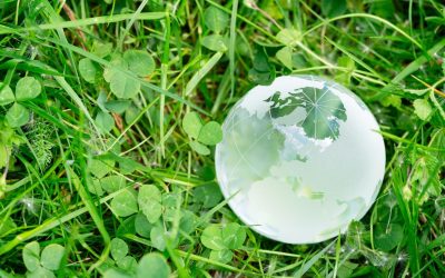 Les Superhéros de l’Écologie : Quand la Nature S’arme pour Contre-Attaquer