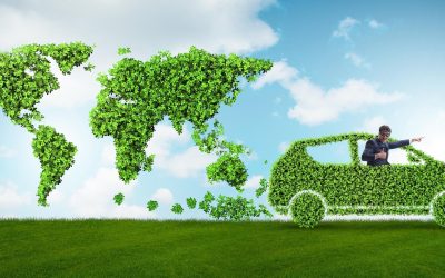 Les initiatives écologiques insolites à travers le monde : quand l’urgence environnementale inspire la créativité
