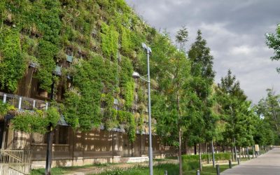 Les conséquences inattendues de la réduction des déchets sur l’environnement