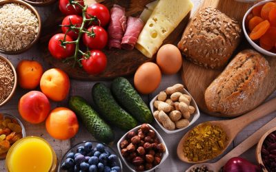 Alerte Agroalimentaire : La Mutation Incontournable à l’Ère du Éco-Talon