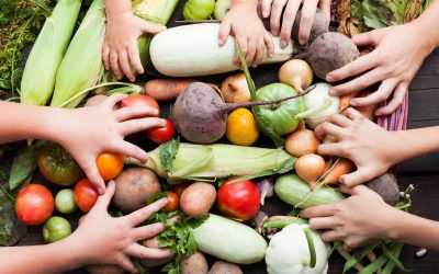 Manger Vert: Révélation sur le Super Pouvoir de l’Alimentation Écologique
