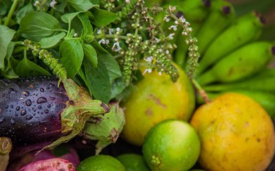 Les Super-Héros de Notre Assiette : L’Alimentation Écologique qui Défie la Junk Food
