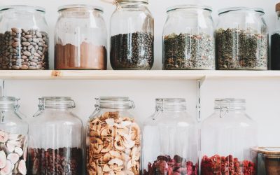 Les Insectes, le Futur de l’Ecogastronomie ?