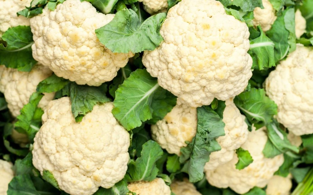 Ces aliments qui sauvent la planète : le guide ultime des super-héros de l’écologie