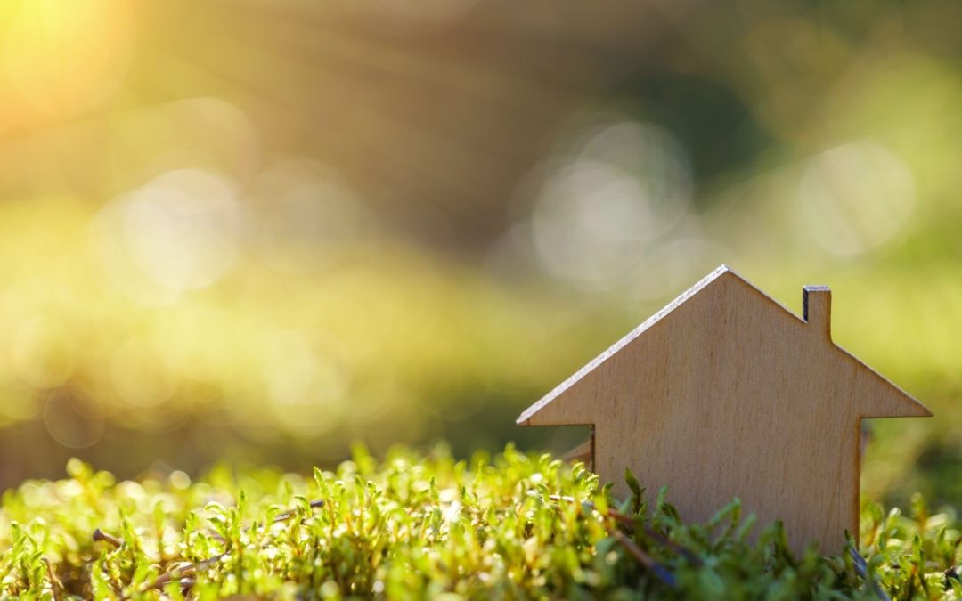 Rénovation de Maison : Quand Repeindre Ses Murs Devient Thérapie