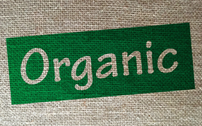 Adopter le bio pour un bien-être durable et global