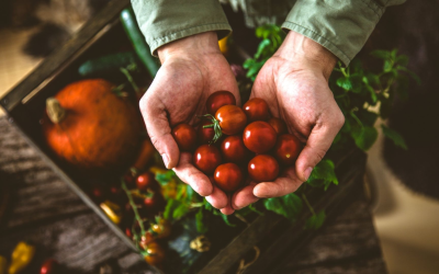 Le bio révolutionne notre santé, notre environnement et notre quotidien