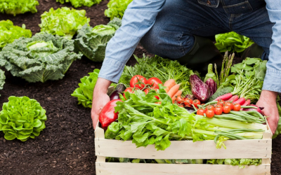 Bio au quotidien : des bienfaits concrets pour santé et planète