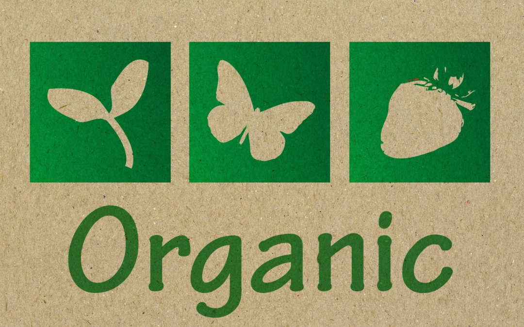 Produits bio pour un bien-être durable et une planète préservée