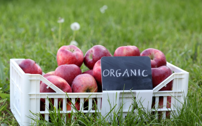 Bio pour mieux vivre et protéger santé, planète et biodiversité