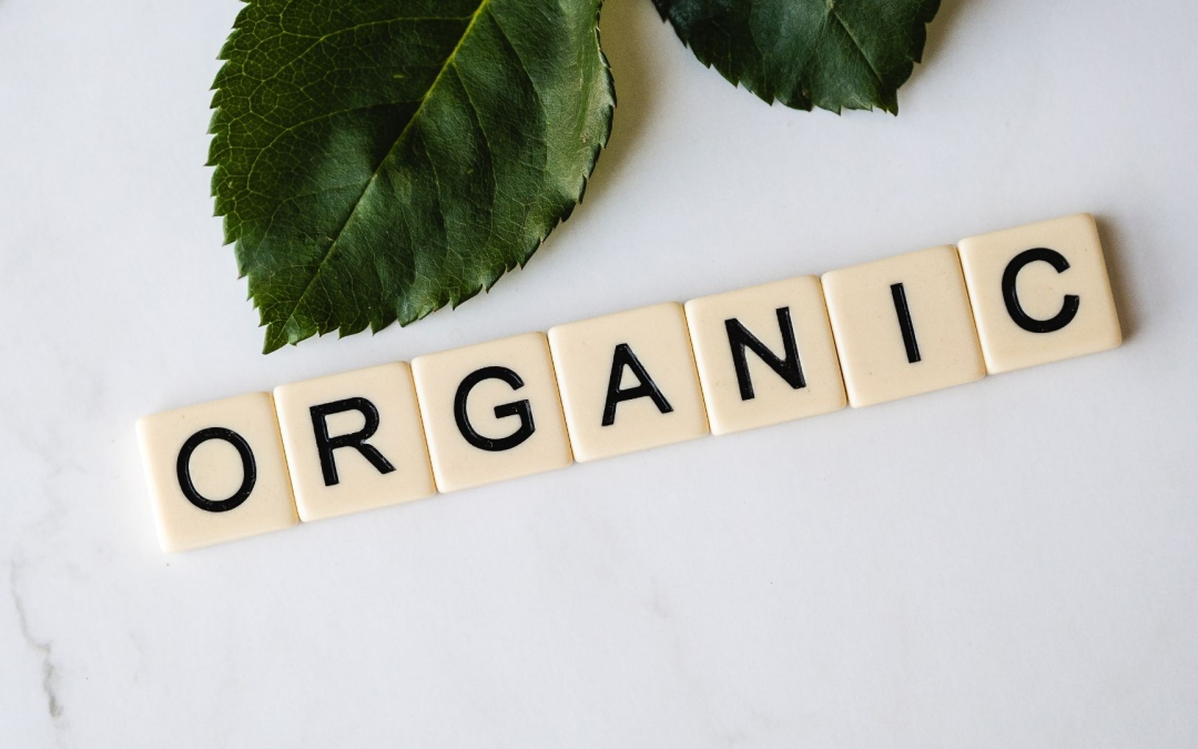 Révolution verte vers un bien-être durable grâce aux produits bio