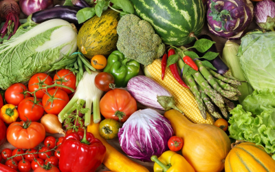 Réinventer son quotidien avec des produits bio et responsables