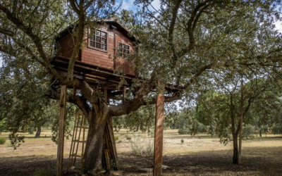 Habitat durable : comment réduire votre empreinte écologique au quotidien