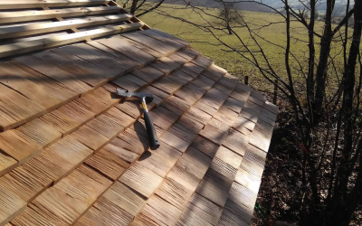 Habitat durable pour un avenir sain et riche en biodiversité