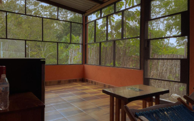 Habitat durable et écologique : guide complet pour transformer votre logement