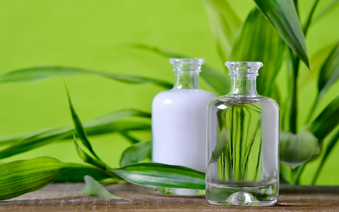 Bio un choix durable pour santé et planète au quotidien