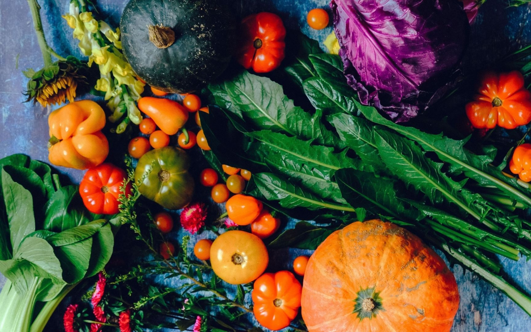 Bio durable : redécouvrez santé, goût, environnement, éthique et bien-être quotidien