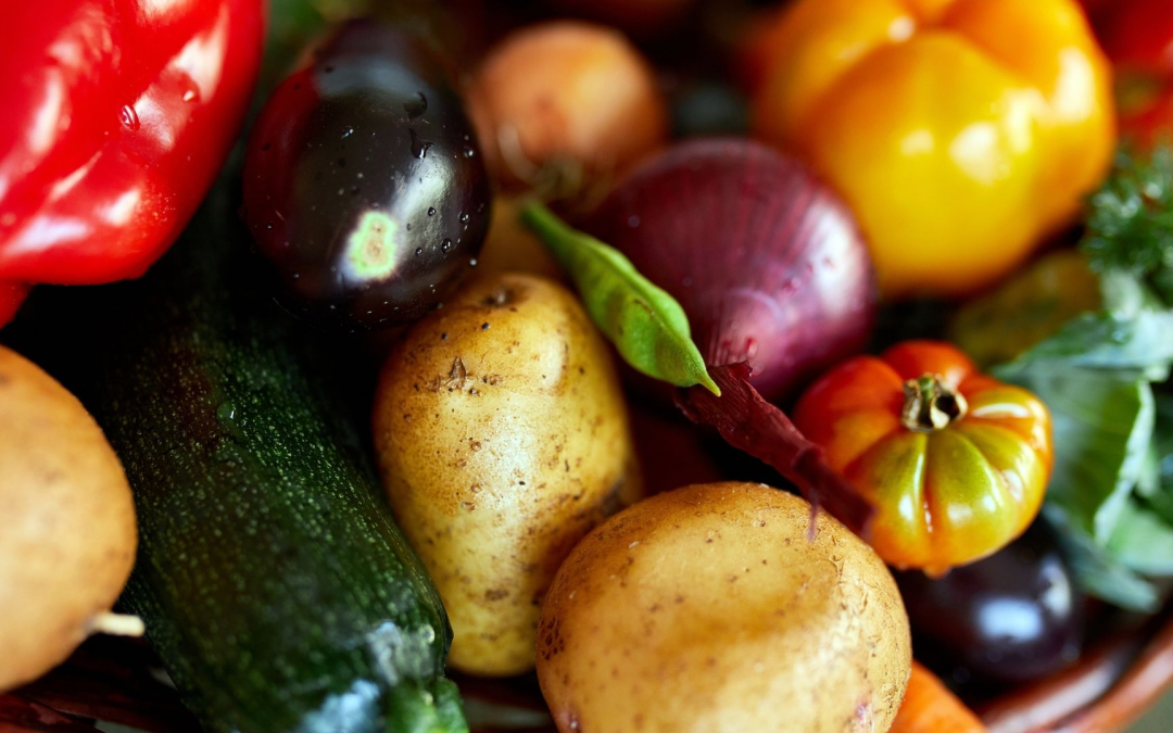 Bio révolutionne notre quotidien entre santé, écologie et innovation durable