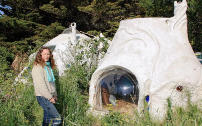 Habitat durable et jardin vert favorisent santé, biodiversité et harmonie