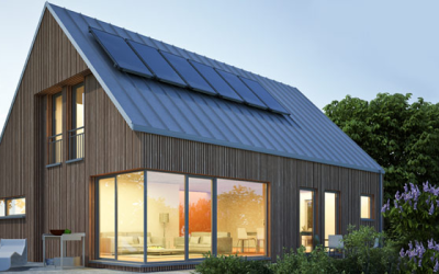 Transformez votre habitat en écosystème durable et résilient